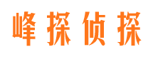 莱西侦探